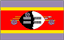 Bandiera SWZ