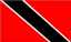 Bandiera TRI