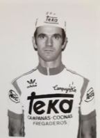 Domingo PERURENA TELLECHEA
