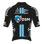 Team DSM