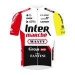 Maglia della Intermarché - Wanty